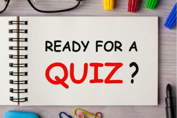 SEO Quiz to verify learning