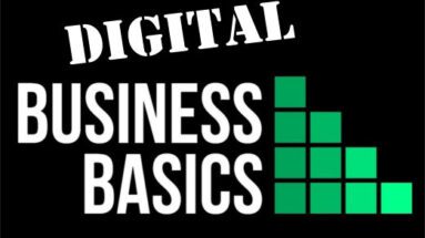 Digital Business Basics for Development